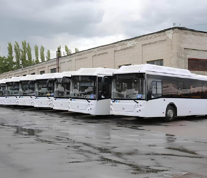 Автобусы