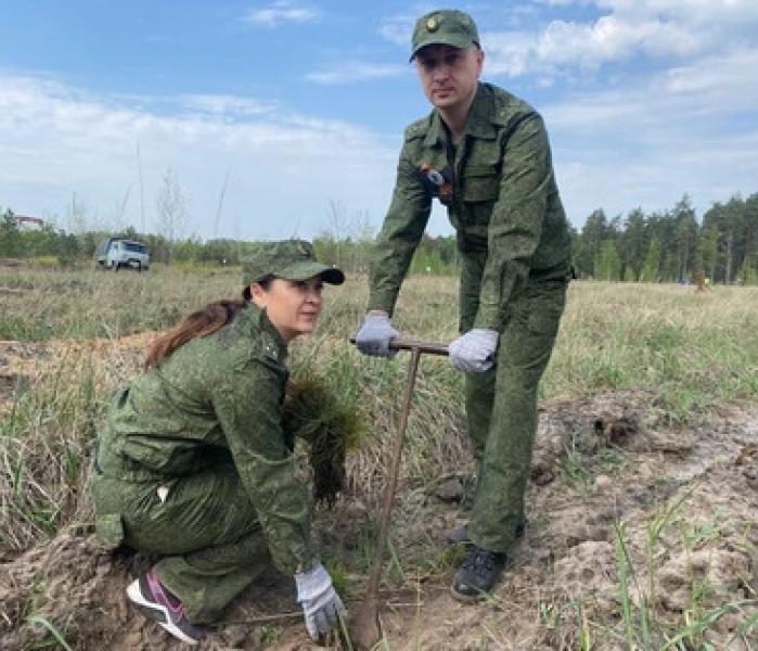 Сажают лес