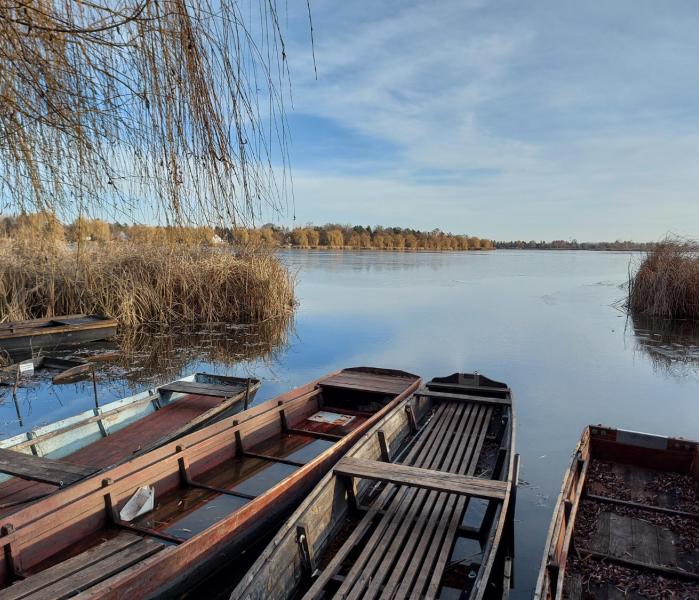 Дон