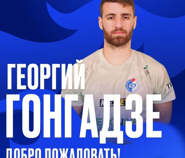 Гонгадзе
