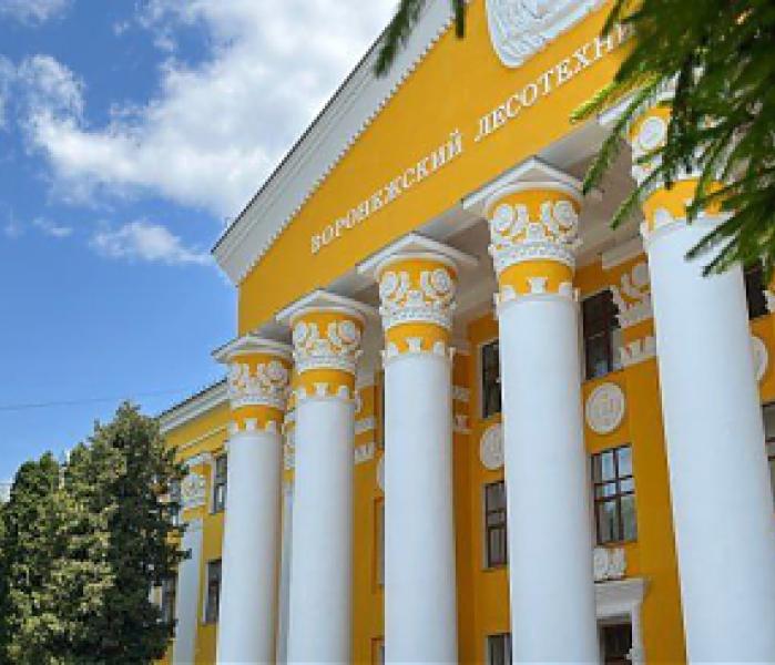 ВГЛТУ