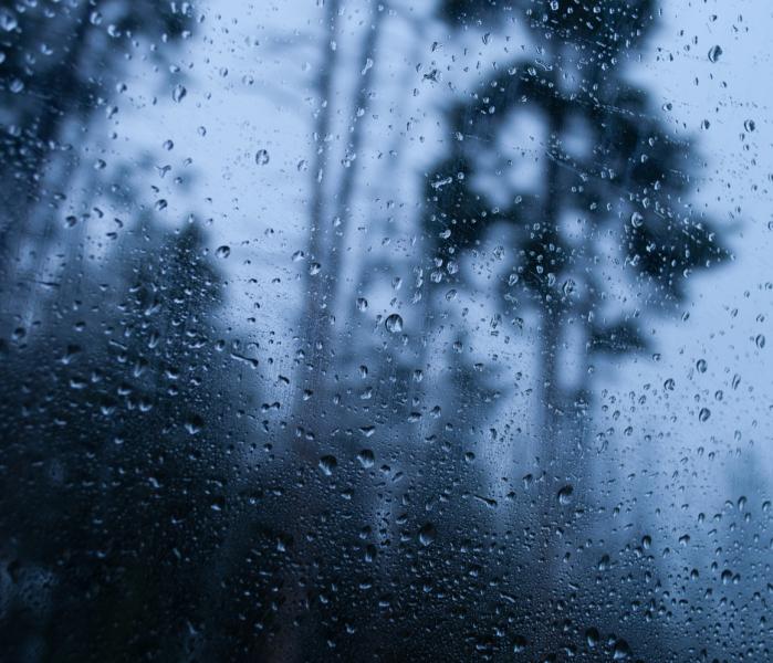 Дождь