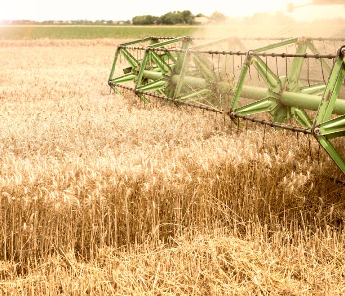 Сельское хозяйство