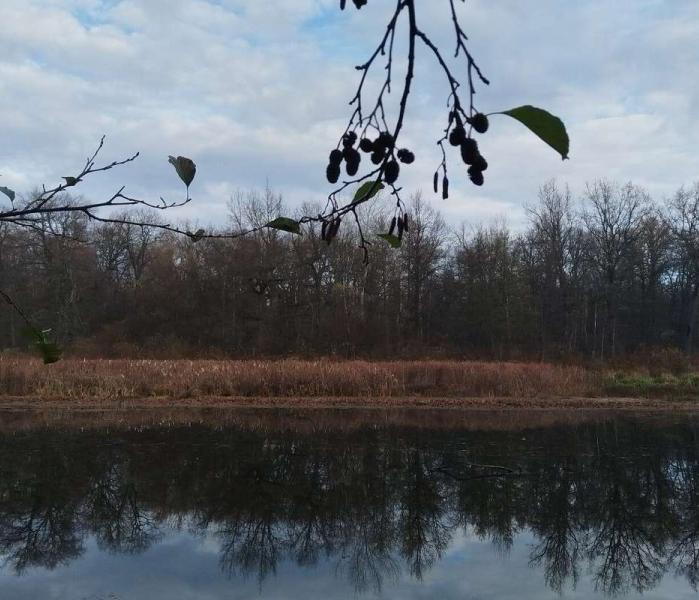 Хоперский заповедник