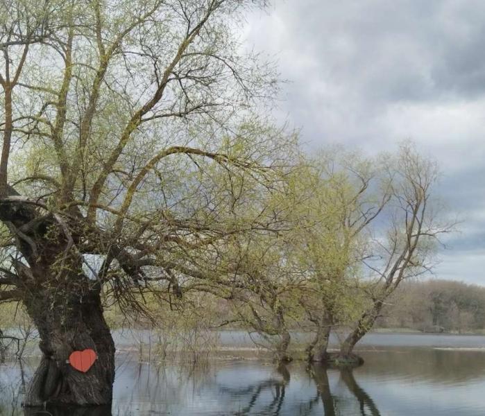 Заповедник