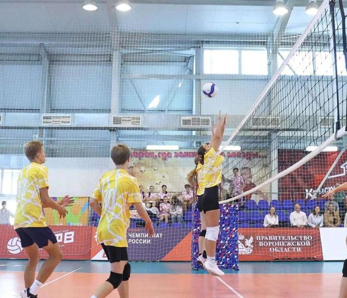 Волейбол