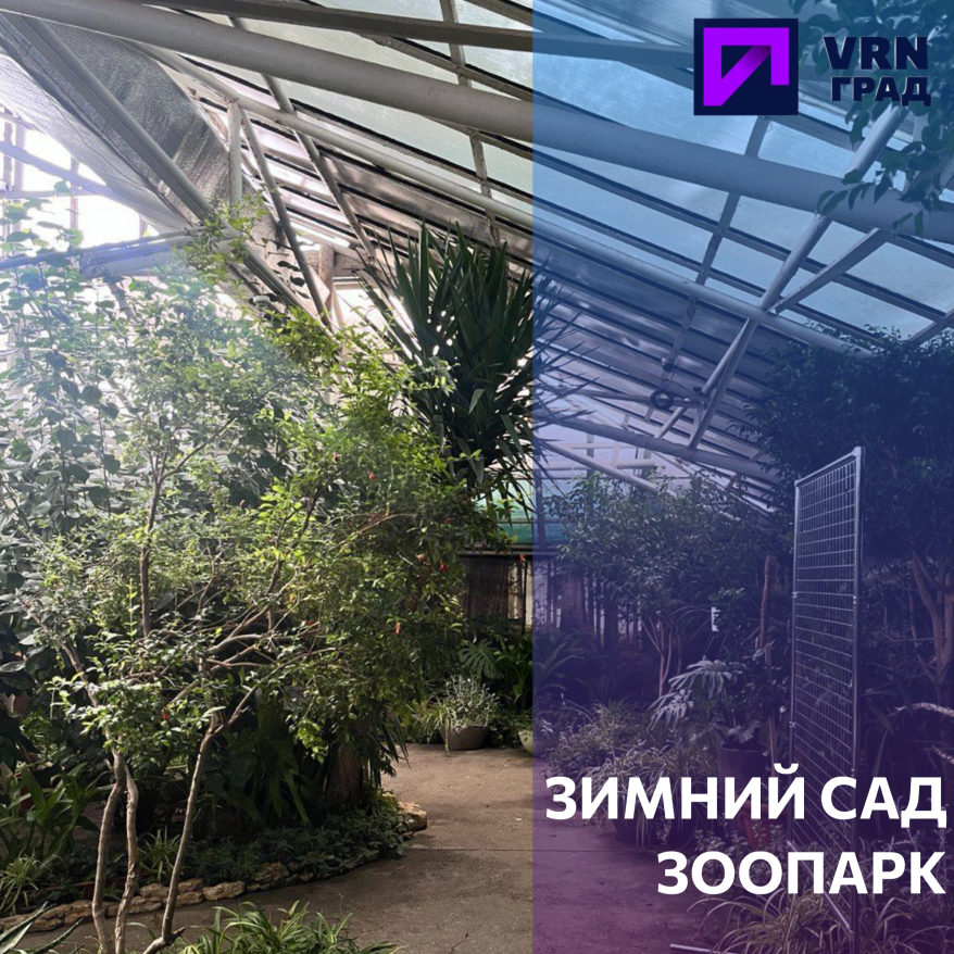 1.png Фото взято из архива "Воронеж Град"