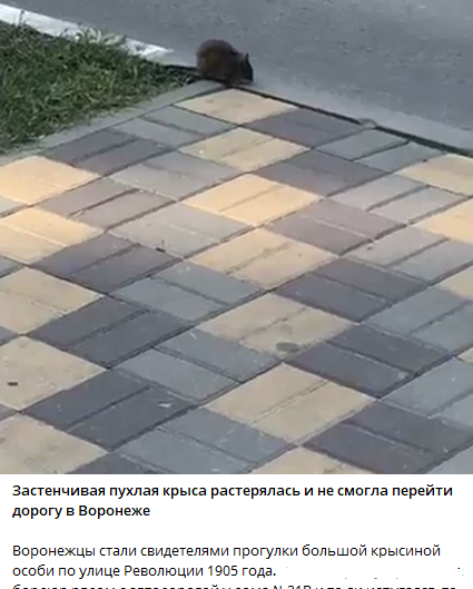 Screenshot_138.png Изображение взято на Freepik