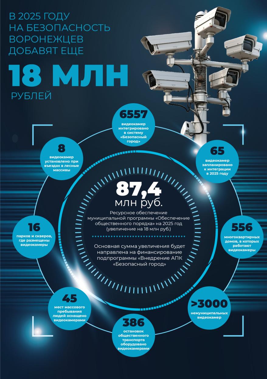 Инфографика Гордума.jpg Инфографика Гордума