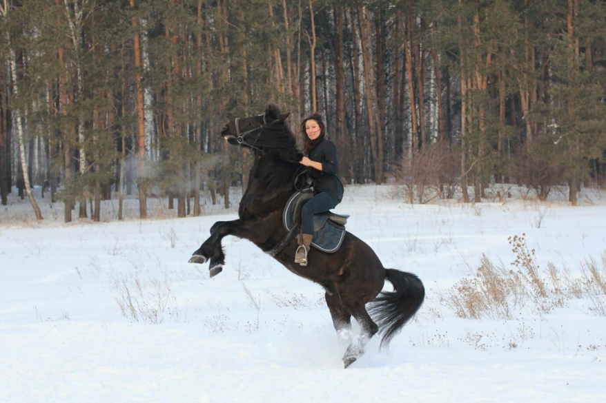 конь.png конь