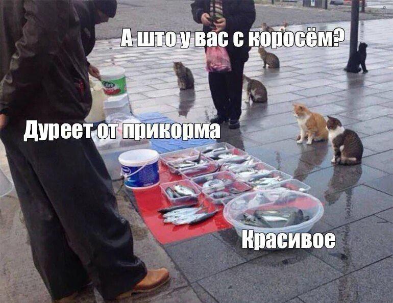 мемы.jpg мемы