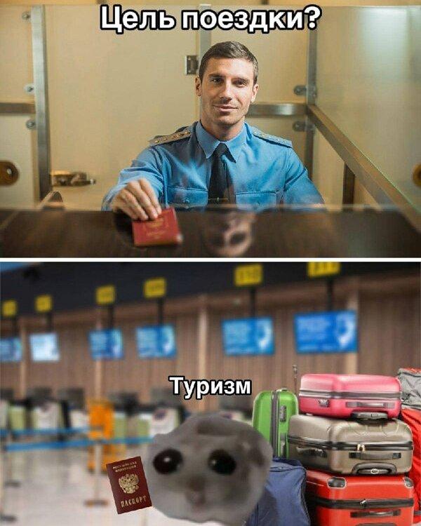 мем.jpg мем