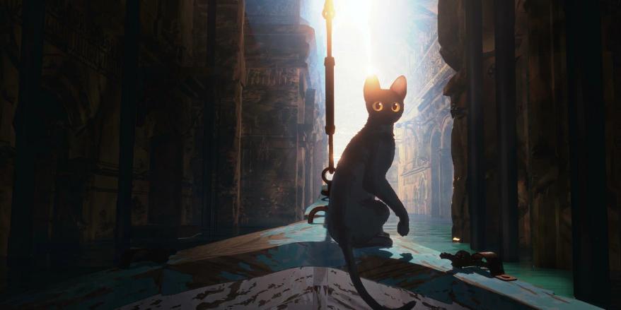 кот.jpg кот
