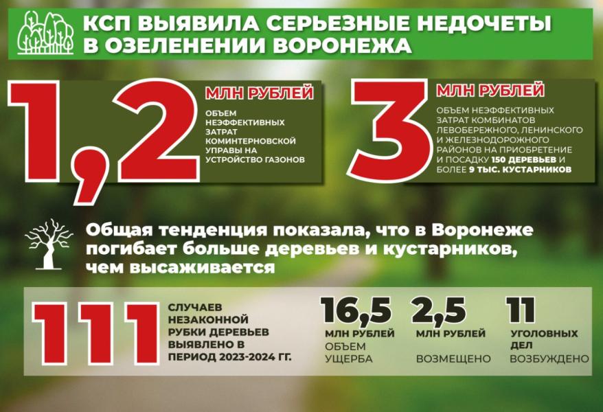 Инфографика Гордума Озеленение.jpg Инфографика Гордума Озеленение
