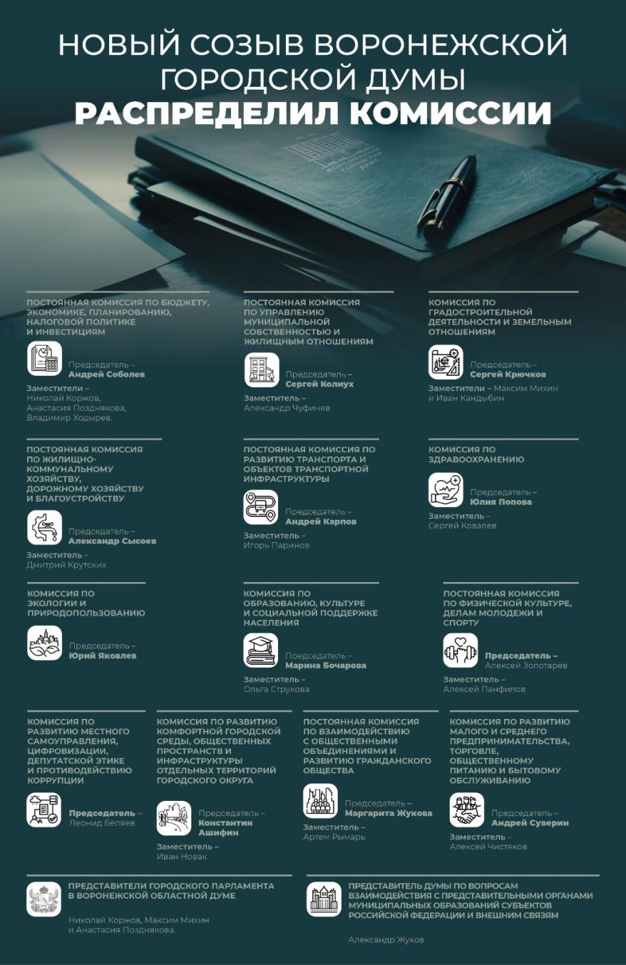 Инфографика Комиссии Гордумы
