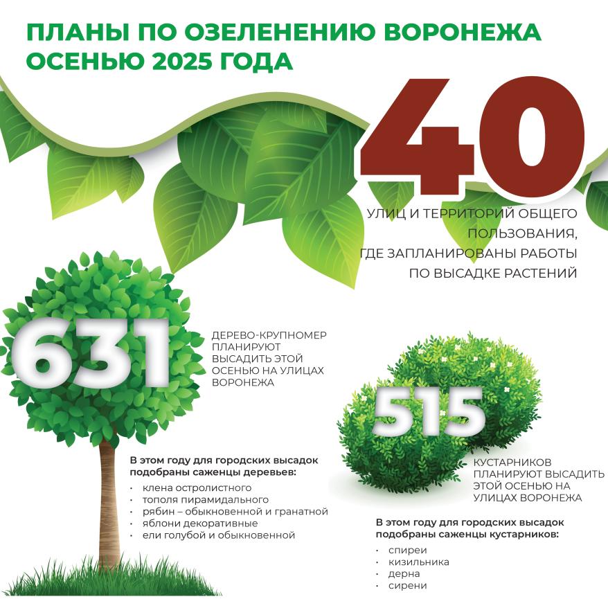 Инфографика Озеленение